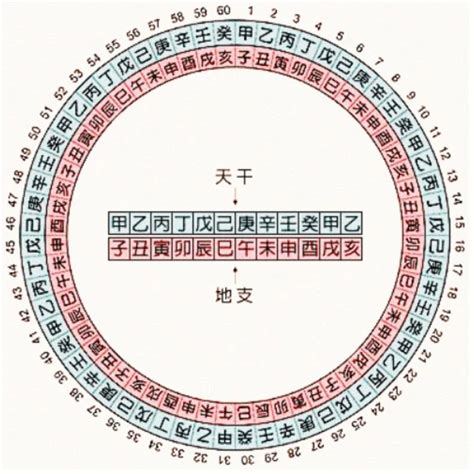 2007天干地支|天干地支纪年法对照表